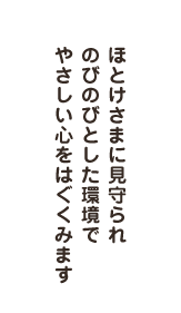 ほとけさまに見守られのびのびとした環境でやさしい心をはぐくみます